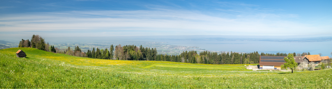 Ausblick auf die Eggersrieterhöhe.